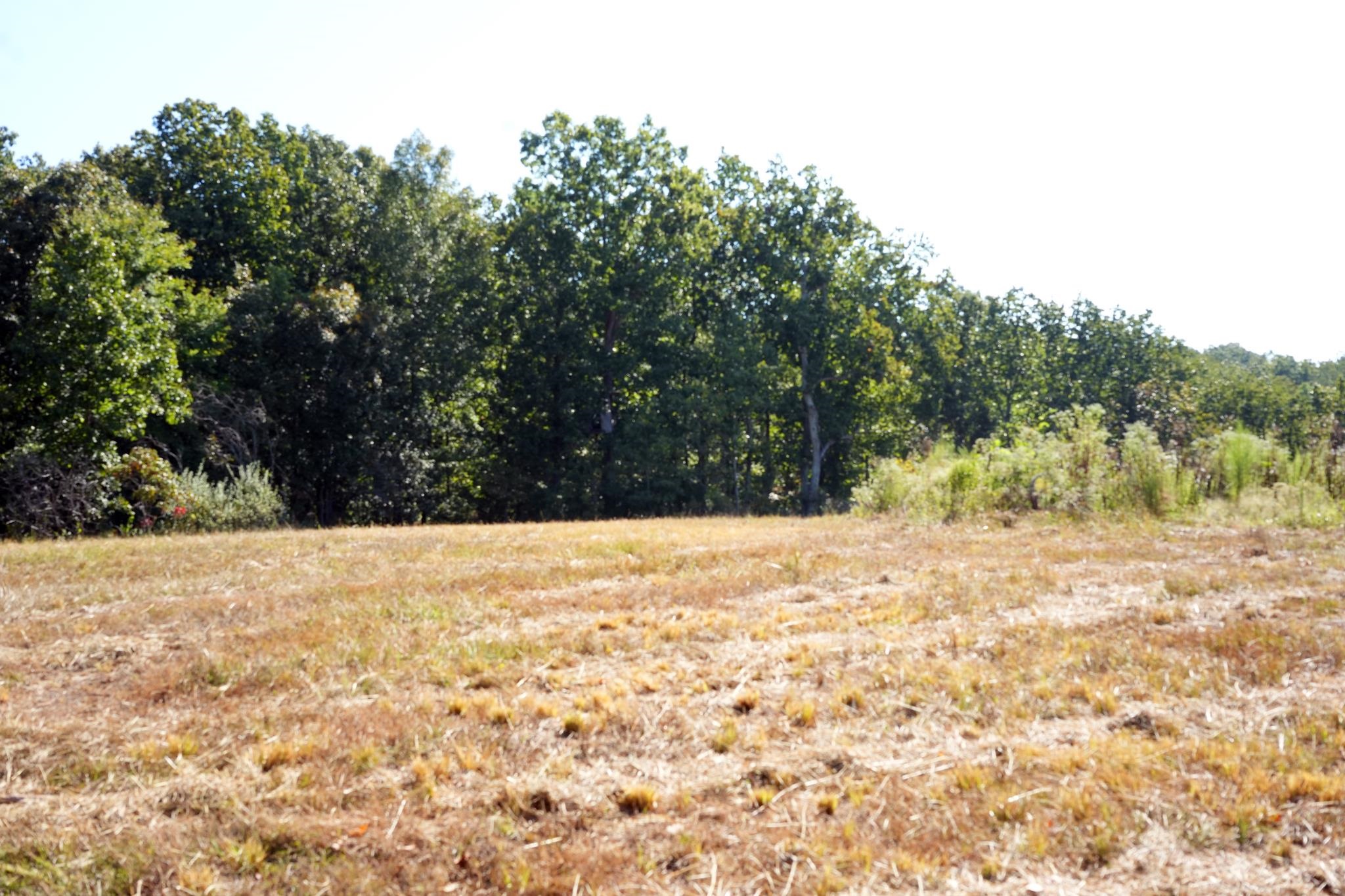 1960 Low Gap Road Sugar Tree, TN 38380 - Photo 22 of 35 Gallery Image 22