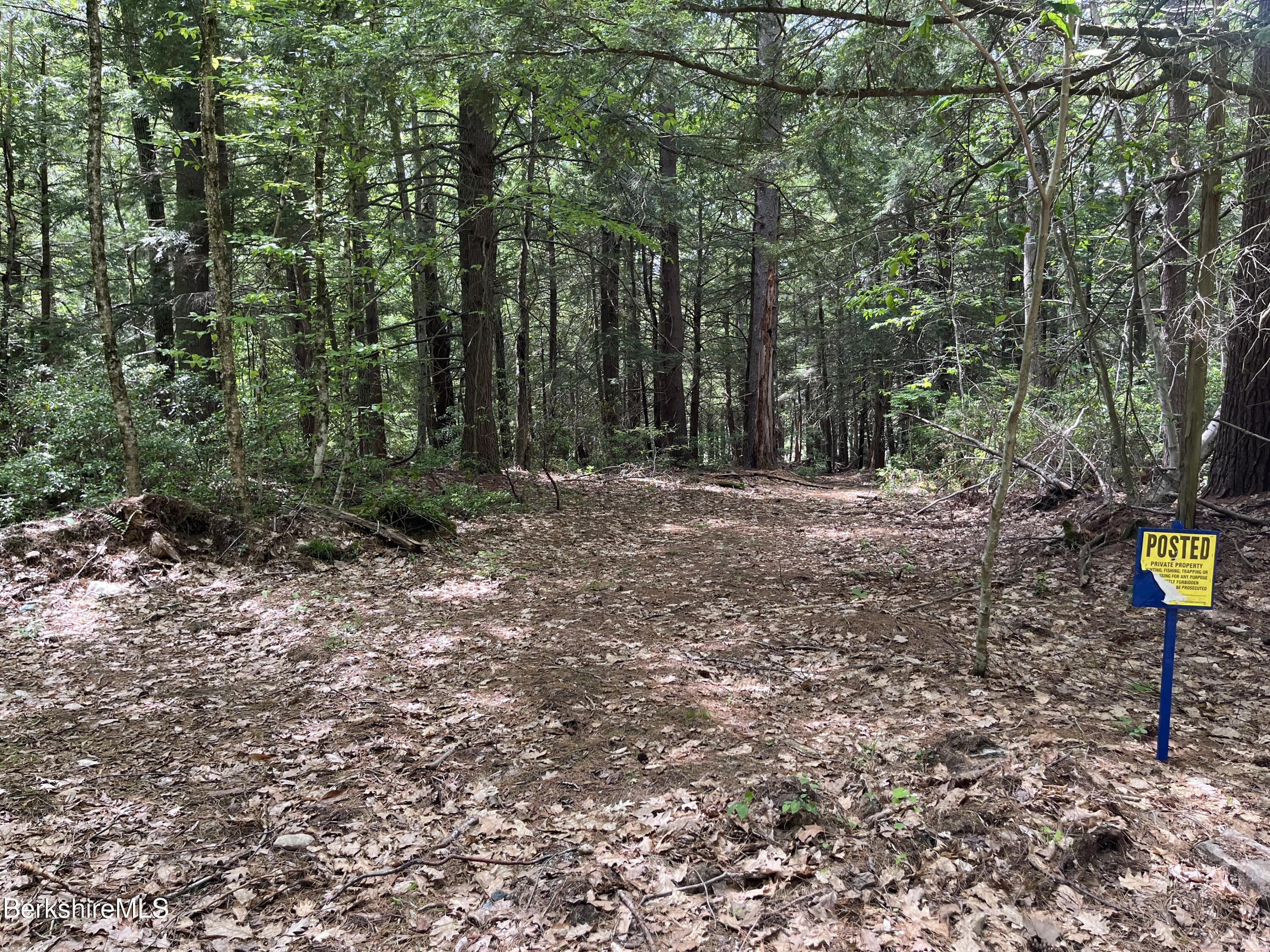 Lot 84 Churchill Road East Otis, MA 01029 - Photo 6 of 18 L 84 E