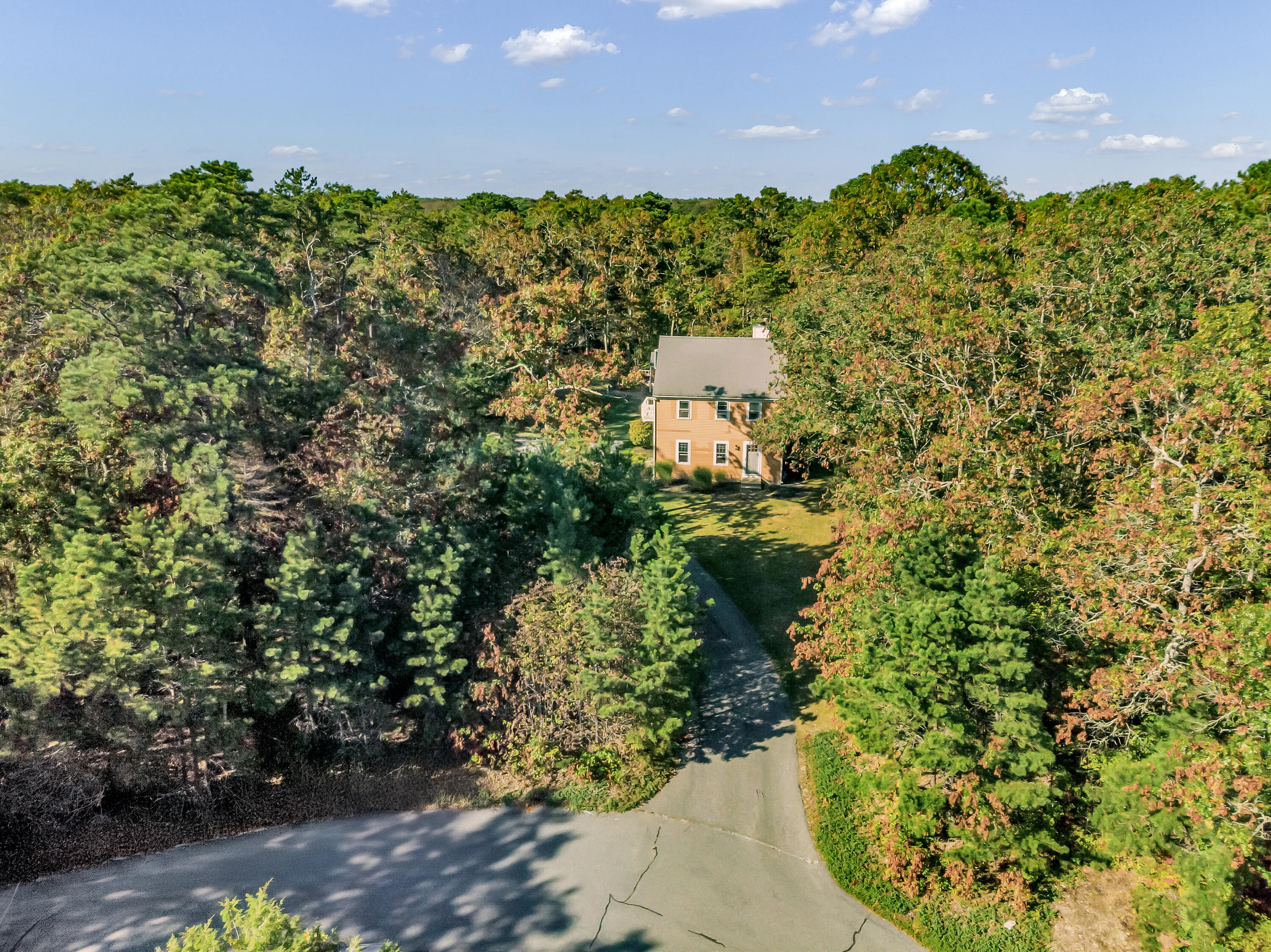 76 Trout Brook Road Mashpee, MA 02649 - Photo 33 of 43 a view of a garden with a building in the background