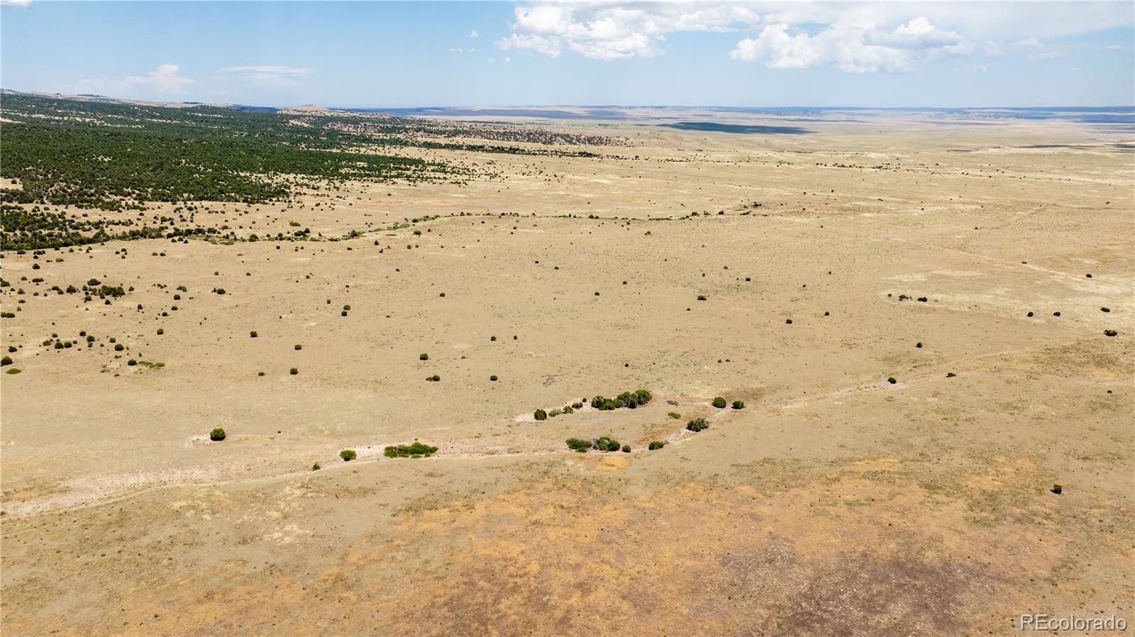 Lot 150 651st Road Rye, CO 81069 - Photo 12 of 18