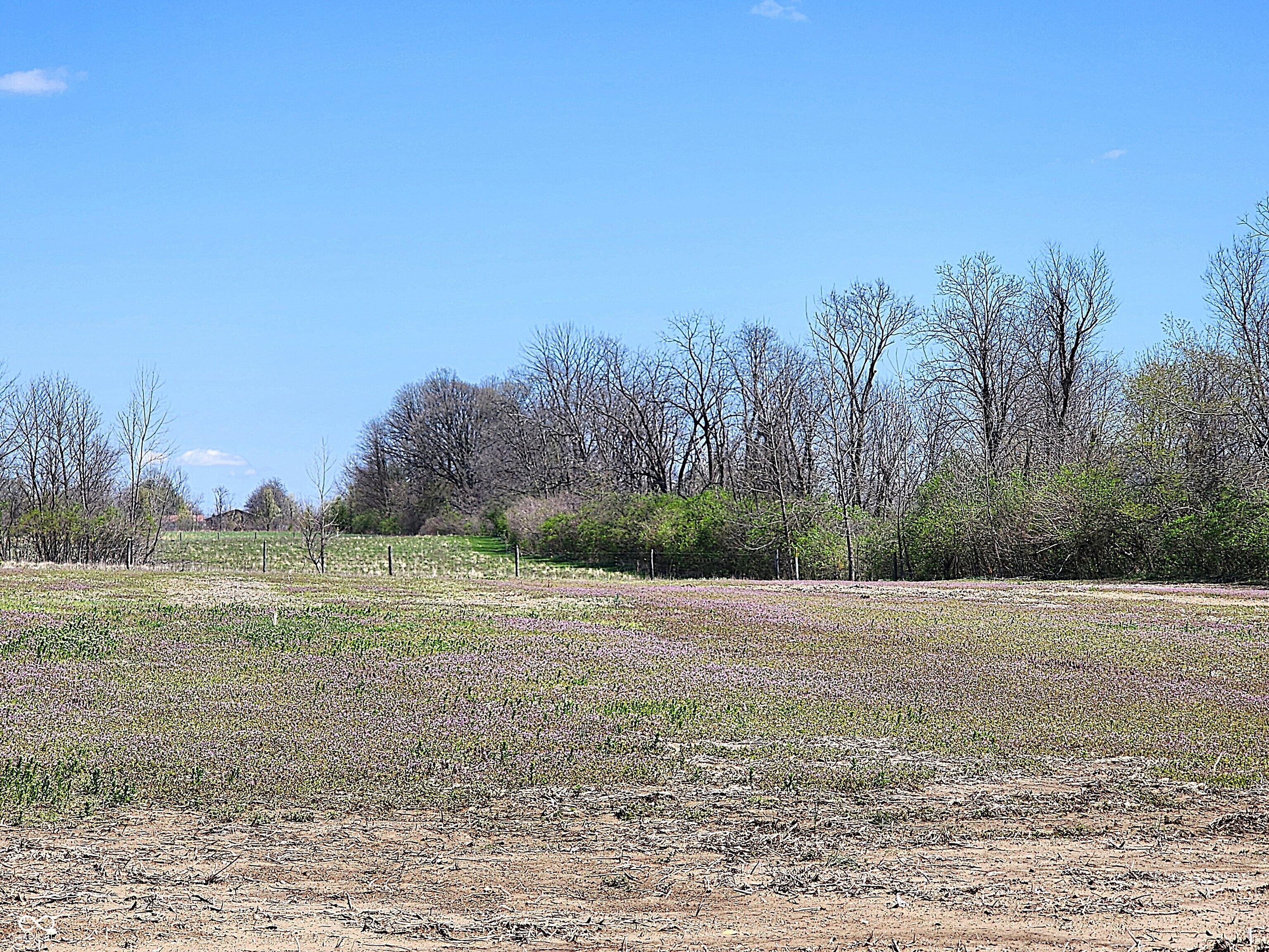 Lot 5 Legacy Estates Road Mooresville, IN 46158 - Photo 5 of 13