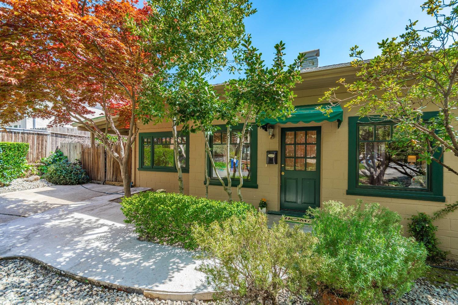 a view of a back yard with plants