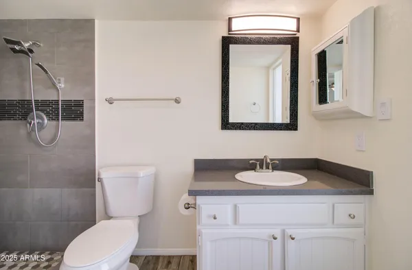 a bathroom with a shower and a toilet