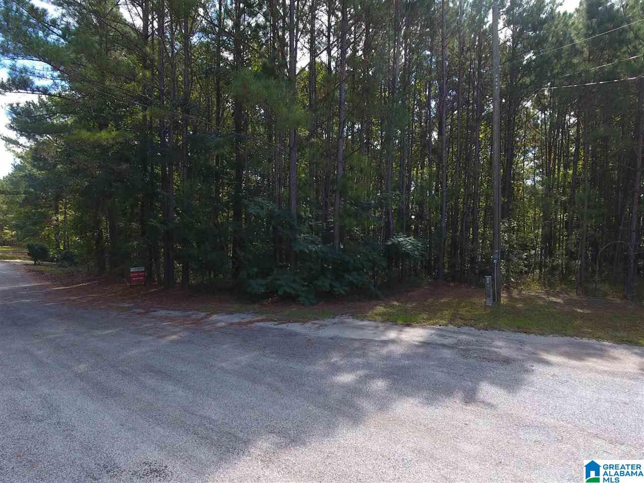 0 County Road 235, Unit 14 Wedowee, AL 36278 - Photo 3 of 10