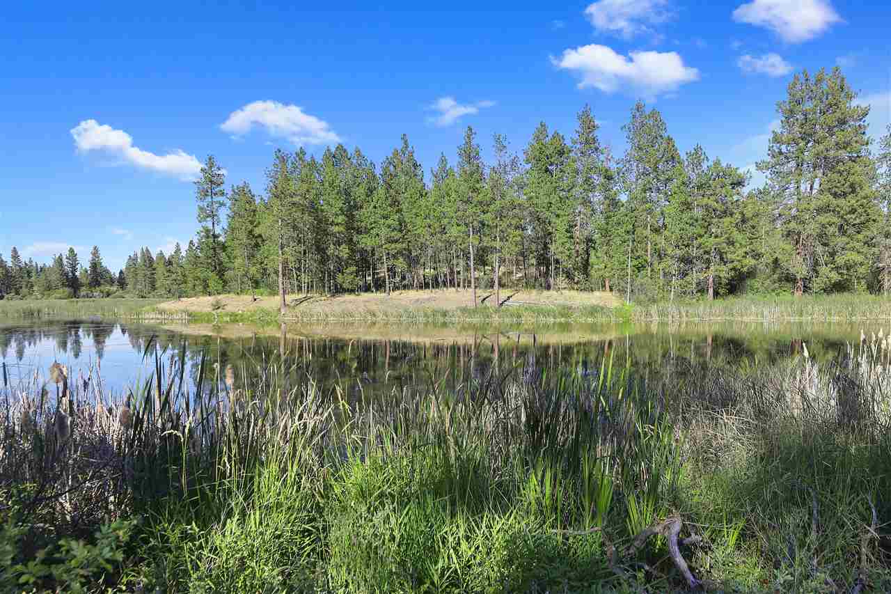 21405 West Blue Heron Road Cheney, WA 99004 - Photo 3 of 39 Gallery Image 3