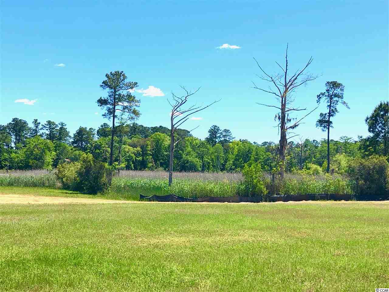 Lot # South Bay Street Georgetown, SC 29440 - Photo 7 of 15 Gallery Image 7
