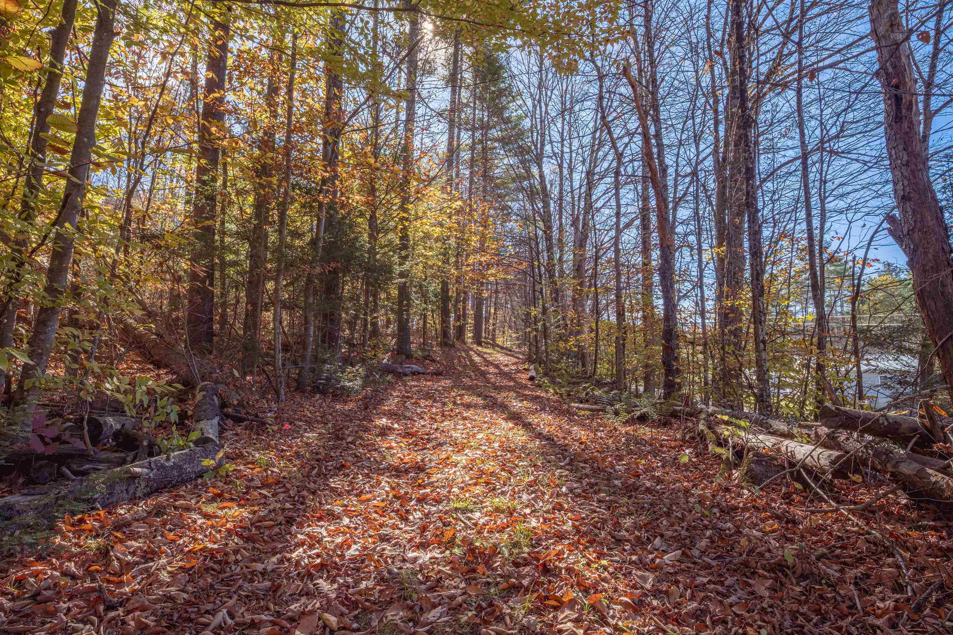 911 Waterman Road Royalton, VT 05068 - Photo 3 of 10