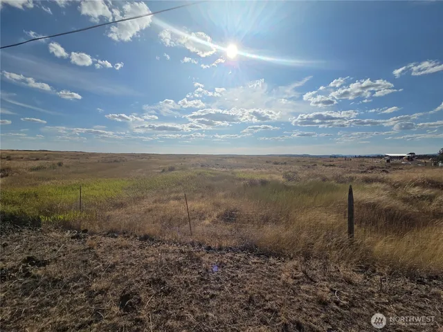 a view of a yard with an ocean and a yard