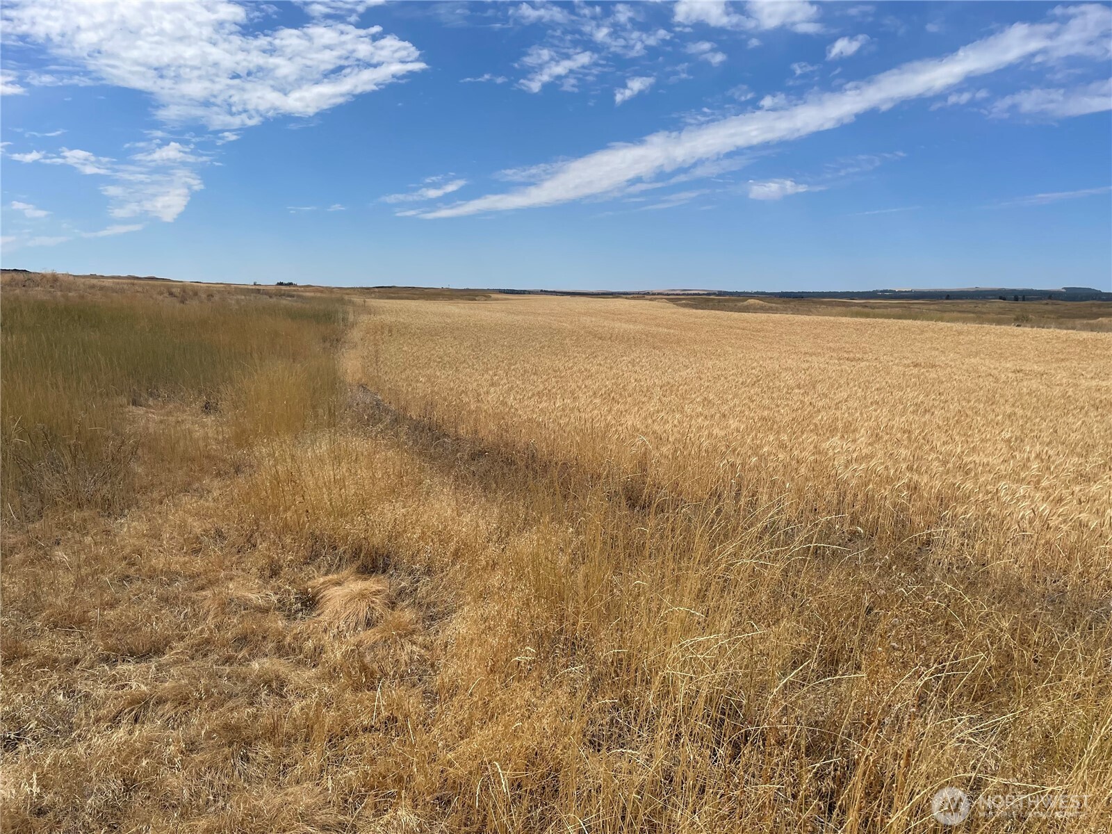 35251 Crescent Road North, Unit 2 Reardan, WA 99029 - Photo 15 of 22