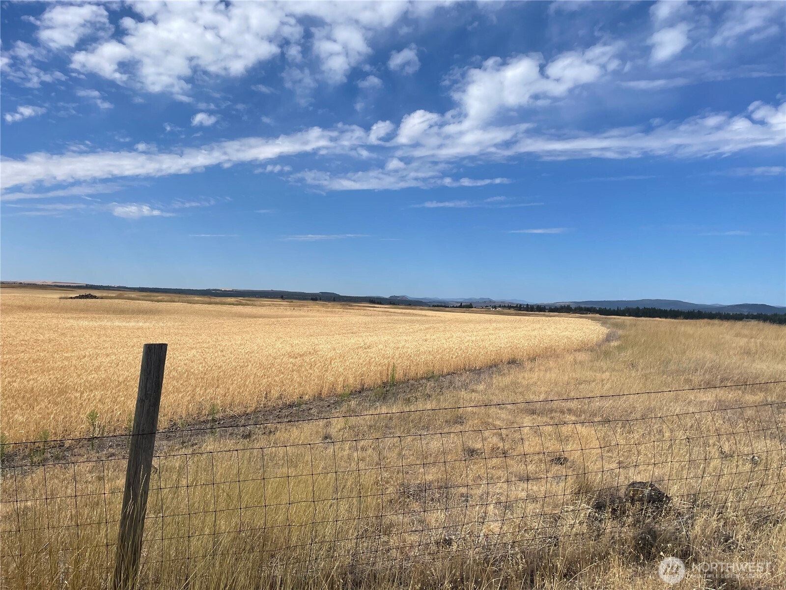 35251 Crescent Road North, Unit 2 Reardan, WA 99029 - Photo 16 of 22 a view of an ocean