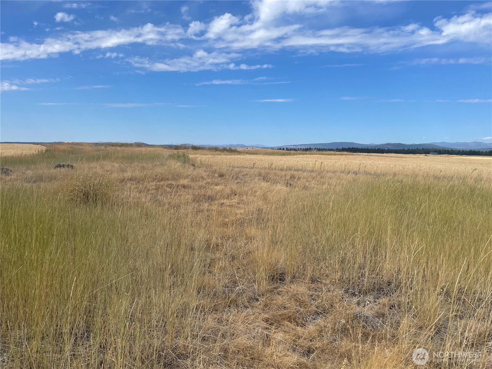 35251 Crescent Road North, Unit 2 Reardan, WA 99029 - Photo 17 of 22 a view of an ocean