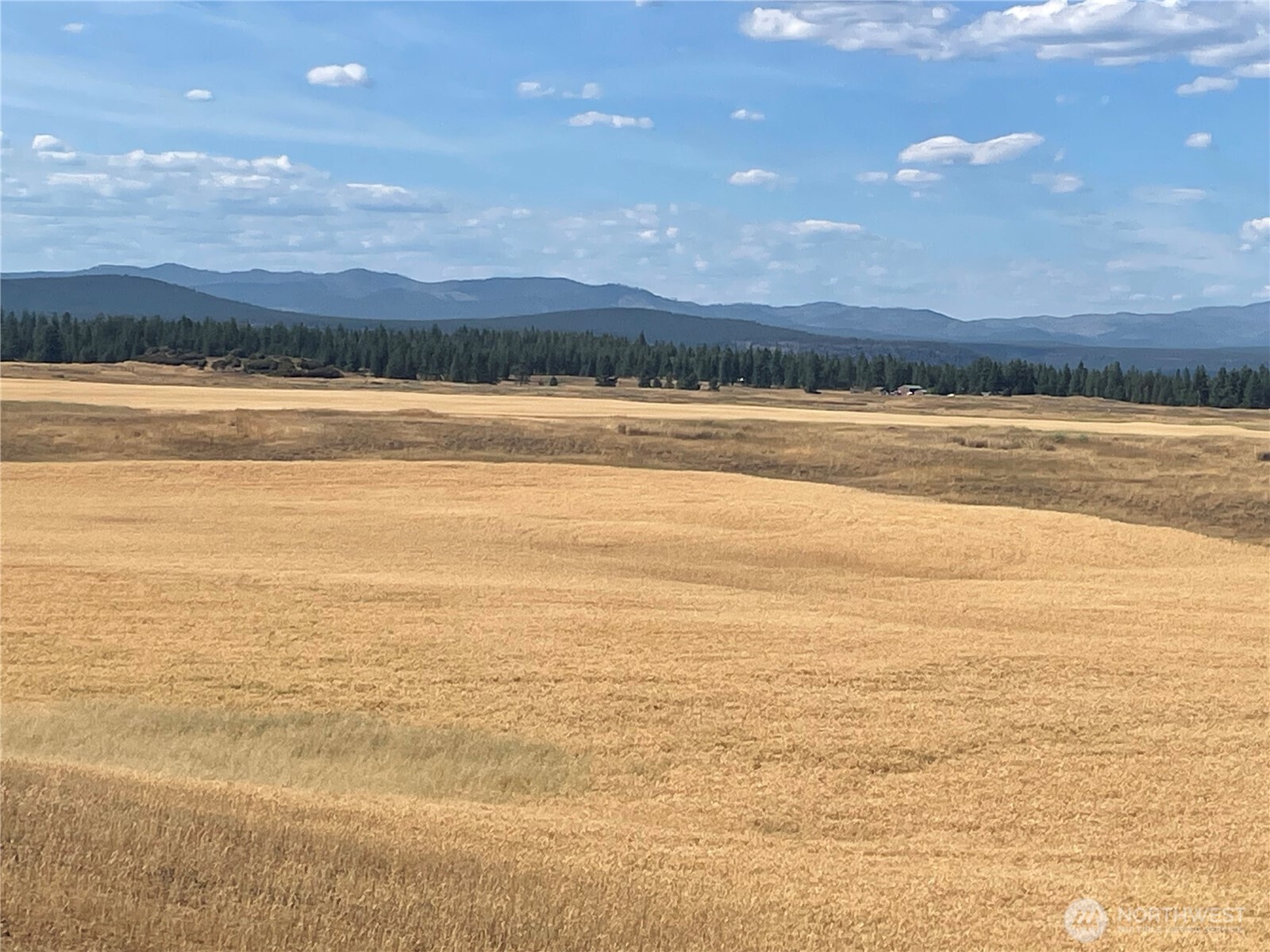 35251 Crescent Road North, Unit 2 Reardan, WA 99029 - Photo 5 of 22 a view of an ocean