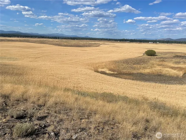 a view of an ocean and beach