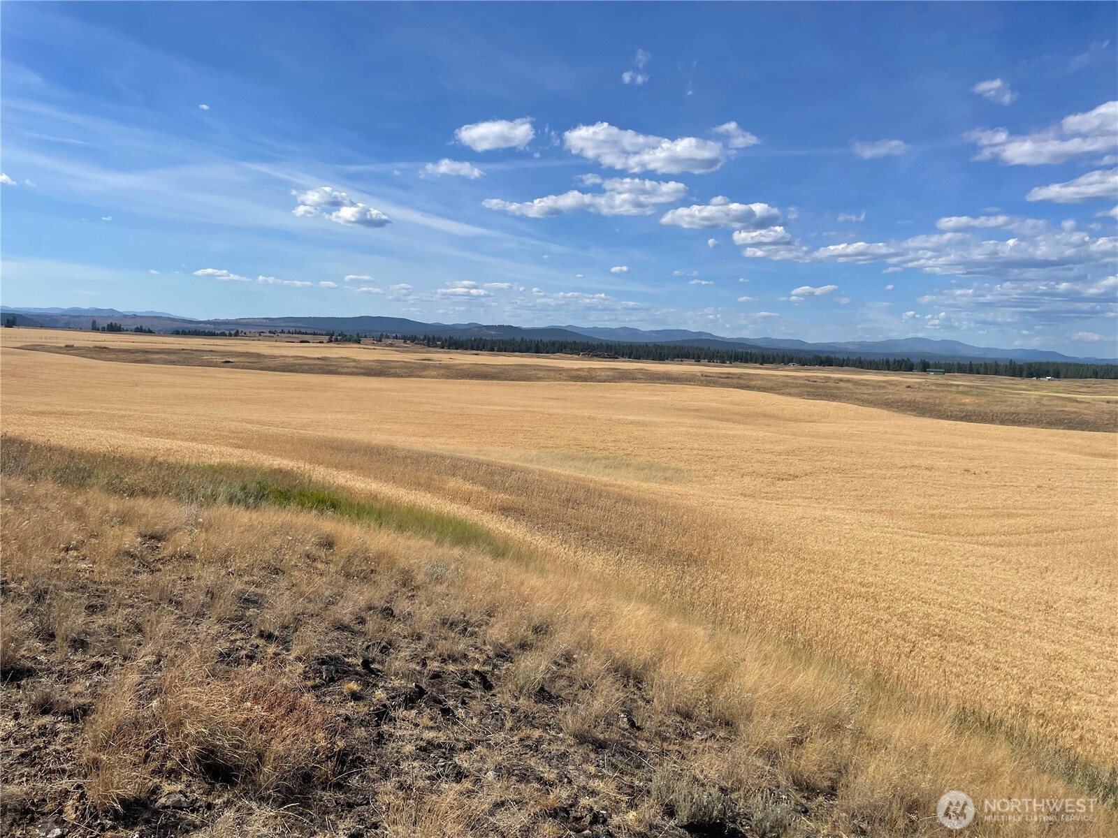 35251 Crescent Road North, Unit 2 Reardan, WA 99029 - Photo 10 of 22 a view of an ocean and a yard