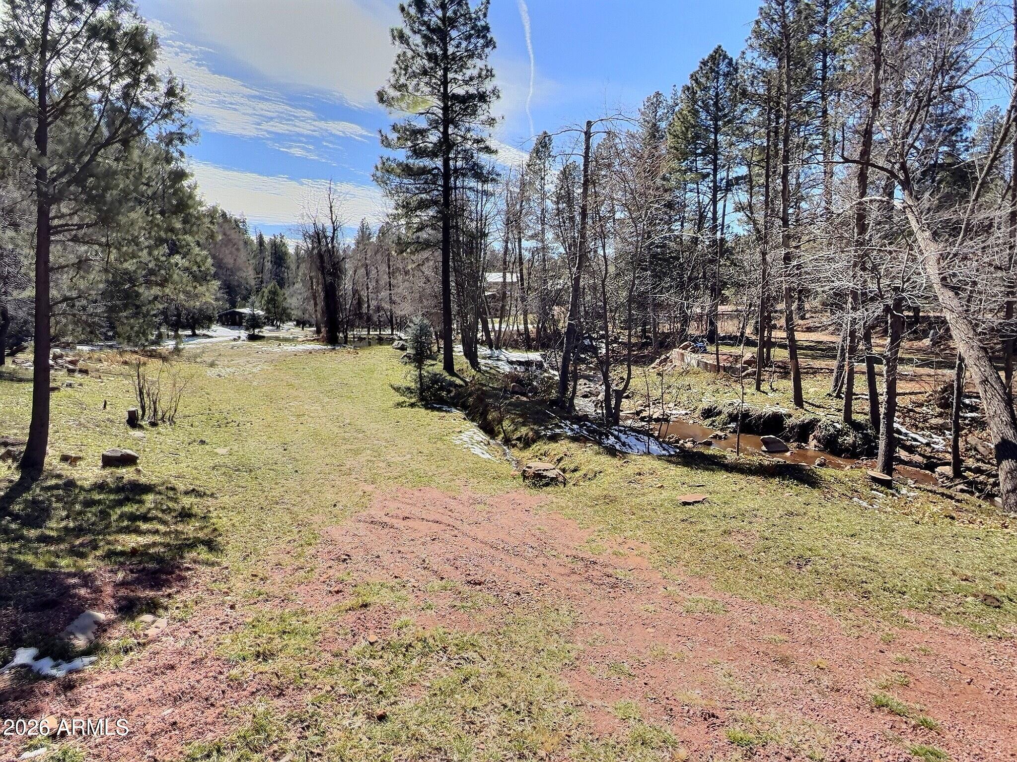 415 East Rim Estates Trail Payson, AZ 85541 - Photo 46 of 76 a view of a yard with a tree
