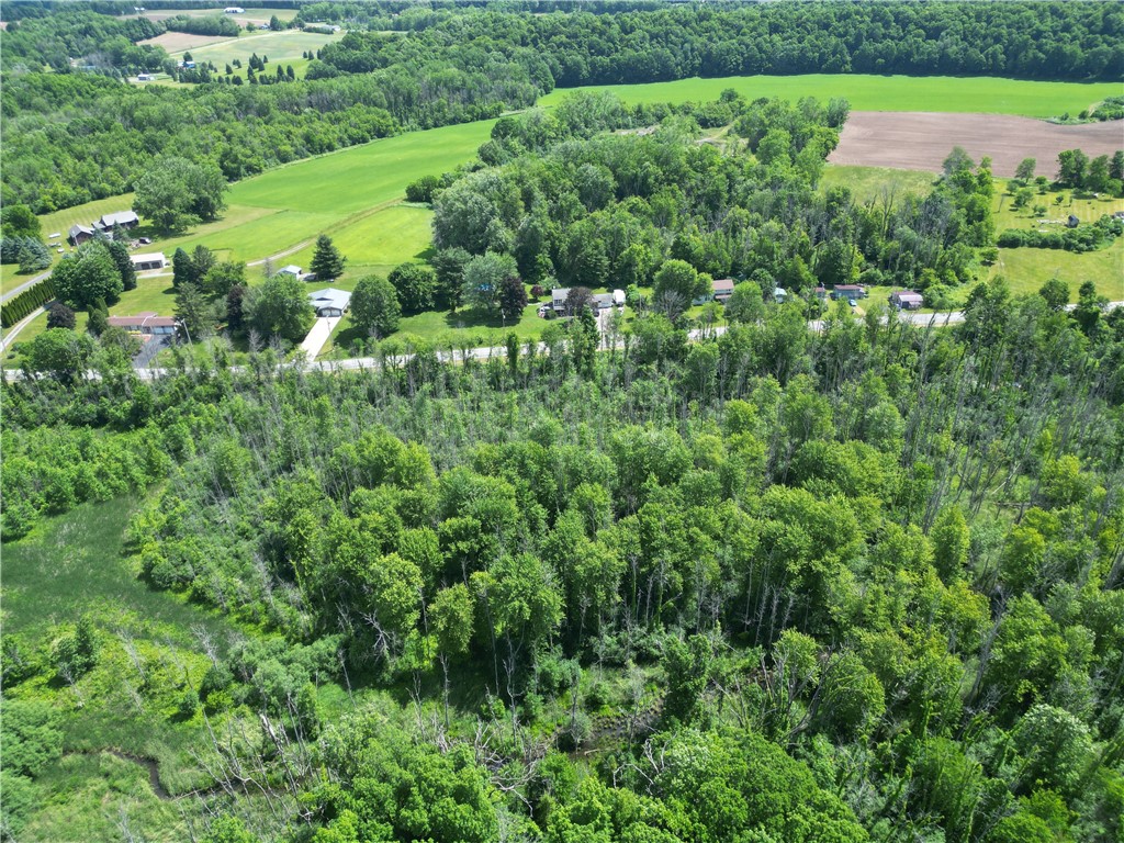 Layton St Road Lyons, NY 14489 - Photo 10 of 28
