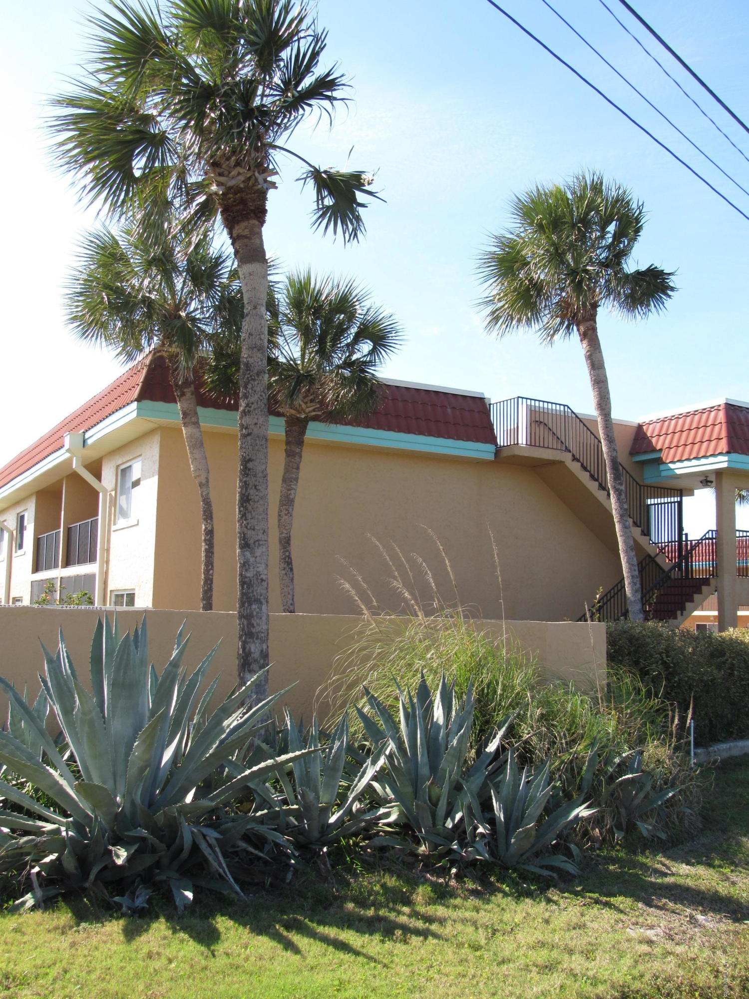 7175 South A1a Street, Unit B212 St. Augustine, FL 32080 - Photo 22 of 29 a plant in front of a house