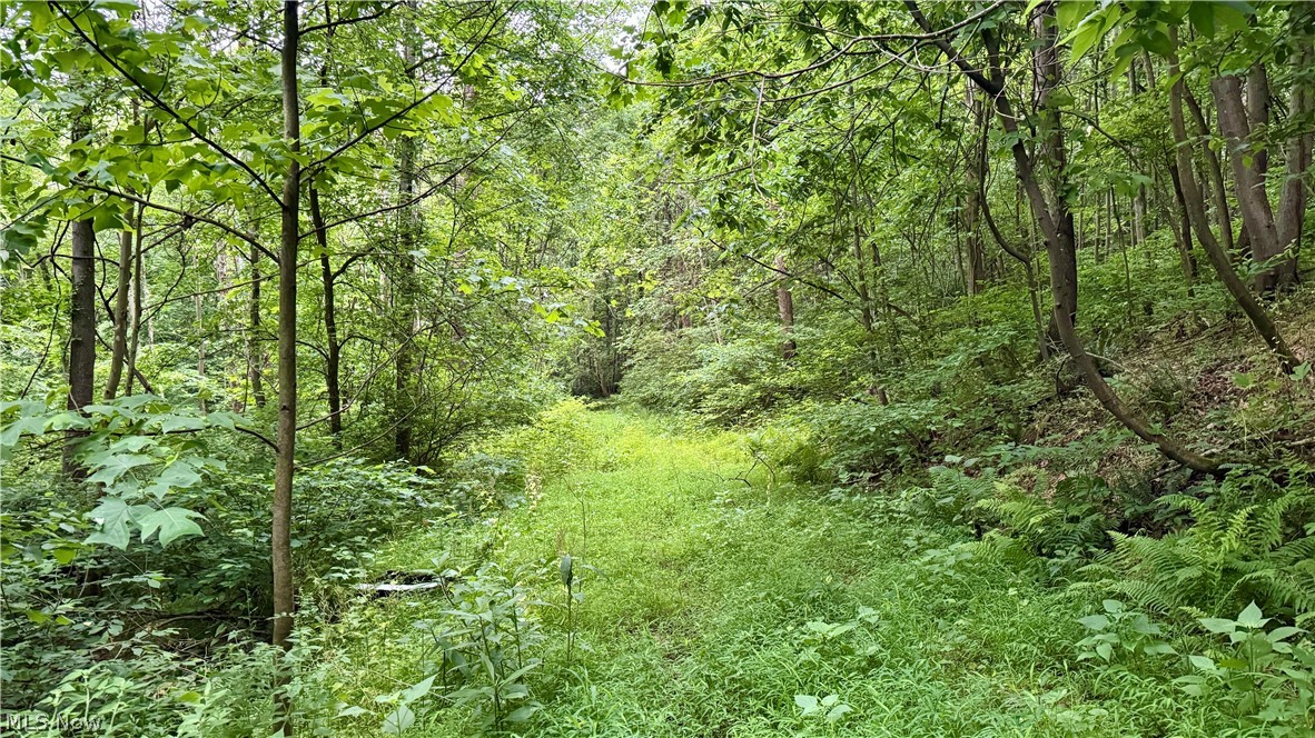 Marlott Run Road Kimbolton, OH 43749 - Photo 7 of 49