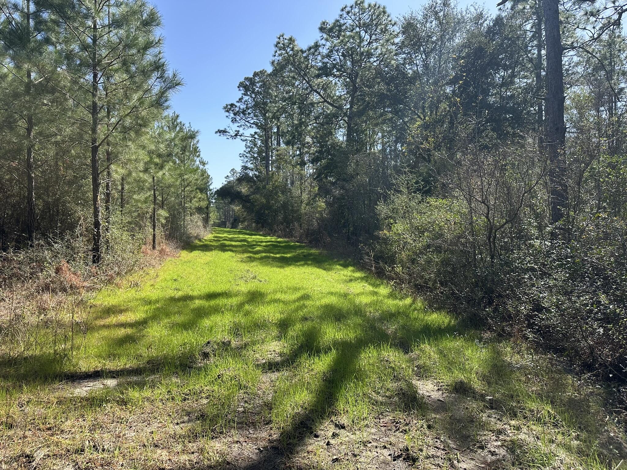 Tract#6416 South Douglas Ferry Road Caryville, FL 32427 - Photo 14 of 14 a view of swimming pool from a yard
