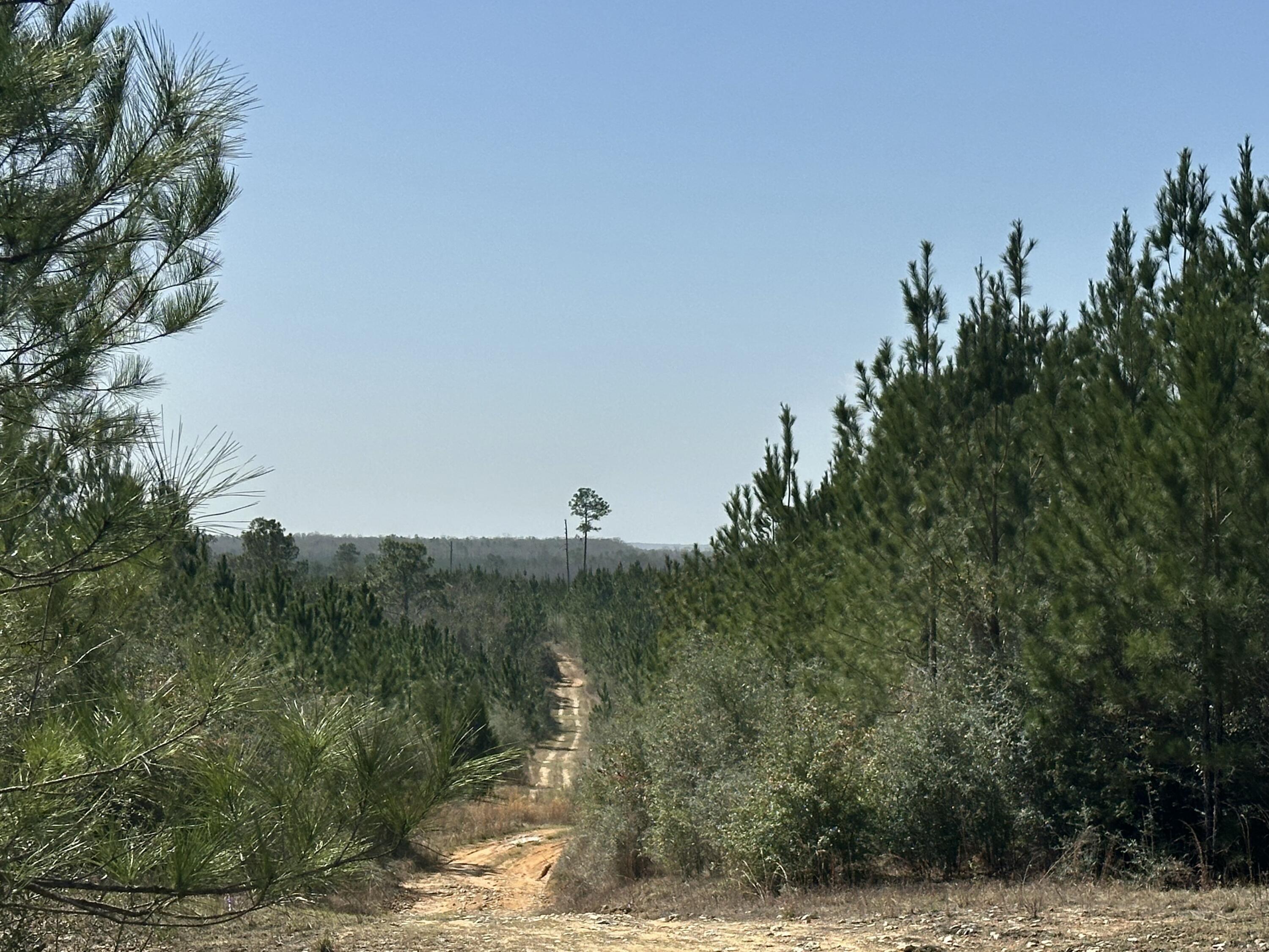 Tract#6416 South Douglas Ferry Road Caryville, FL 32427 - Photo 2 of 14 a view of a lake with mountain