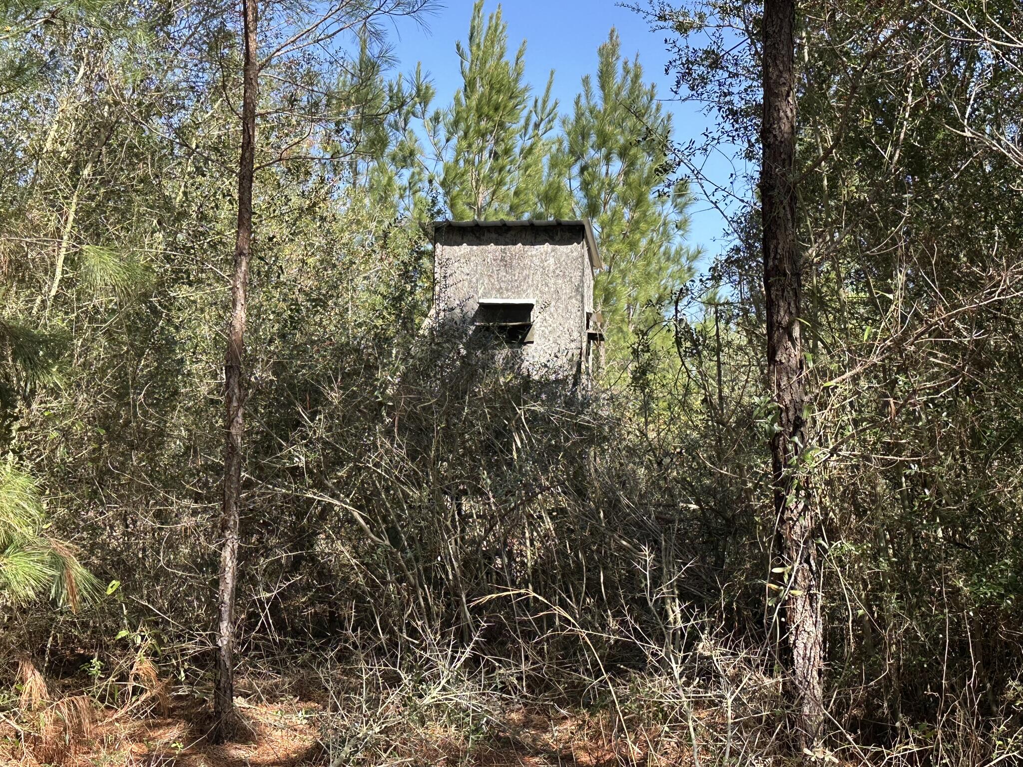 Tract#6416 South Douglas Ferry Road Caryville, FL 32427 - Photo 9 of 14 a view of a yard