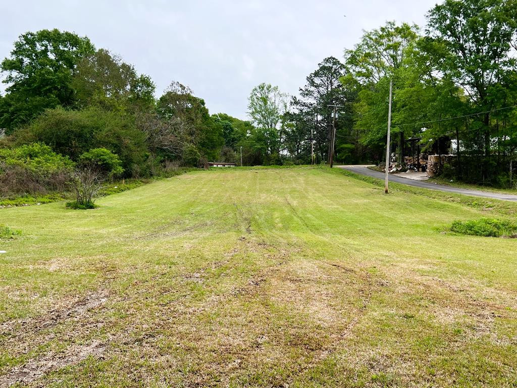 51 @ Carr Road McComb, MS 39648 - Photo 4 of 6 Photo 4