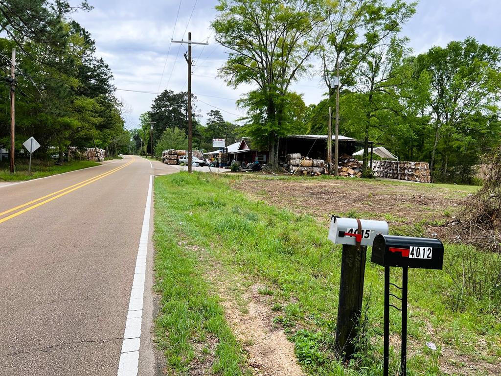 51 @ Carr Road McComb, MS 39648 - Photo 5 of 6 Street view facing south
