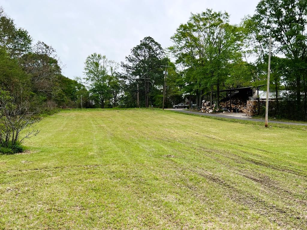 51 @ Carr Road McComb, MS 39648 - Photo 6 of 6 View facing Hwy 51