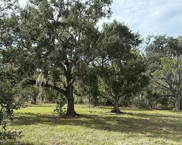 a view of outdoor space with trees all around