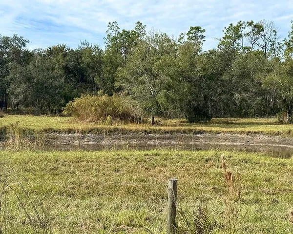 a view of a lake view