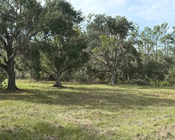 a big yard with trees