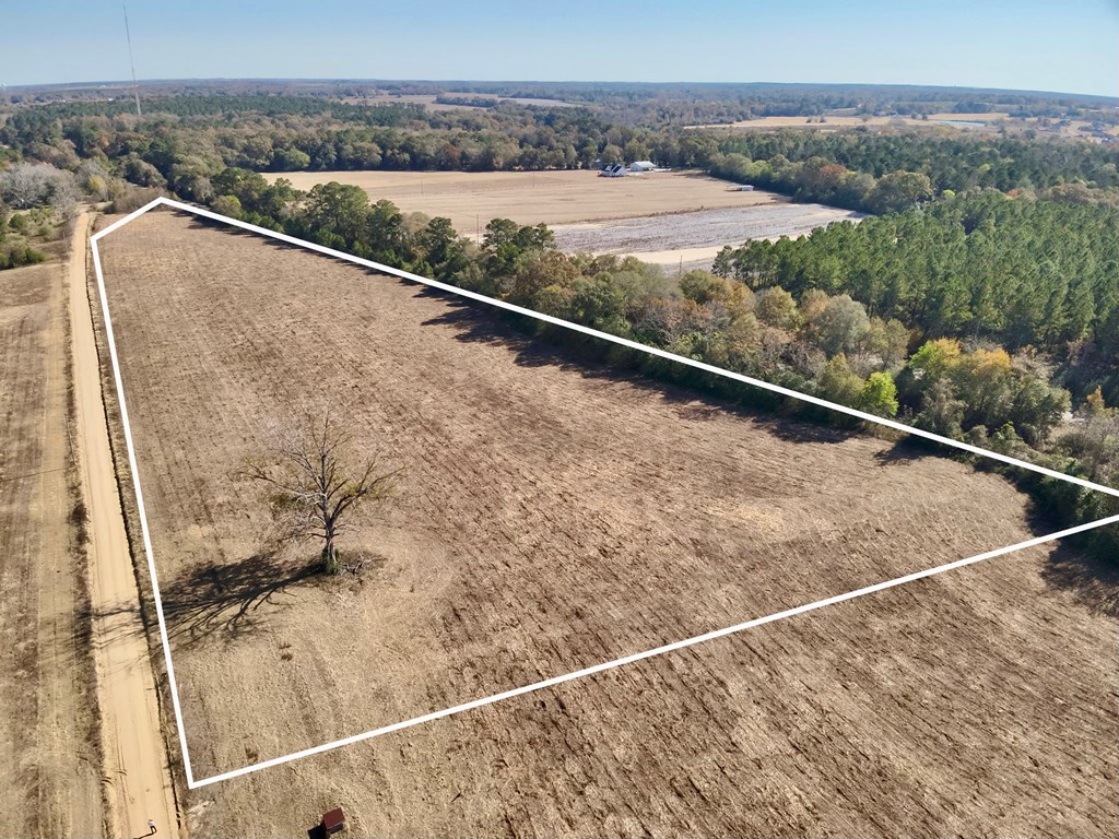 10.73-acres Huskey Road Dothan, AL 36303 - Photo 6 of 13