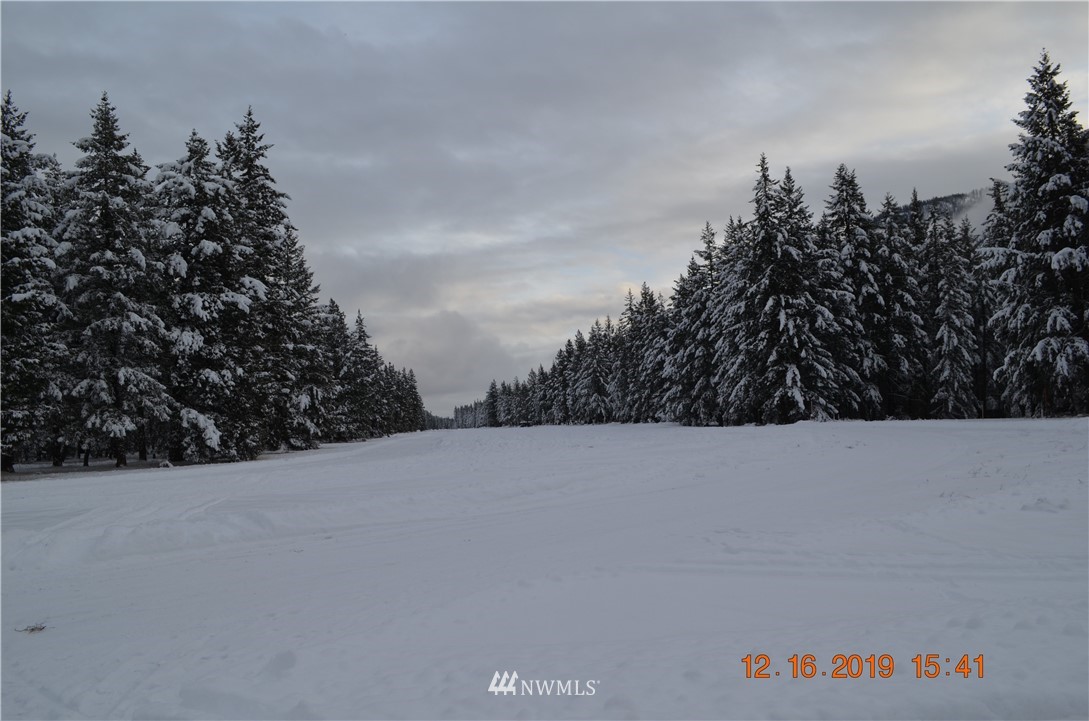 3-5 Emerson Road Mazama, WA 98833 - Photo 19 of 21 Gallery Image 19
