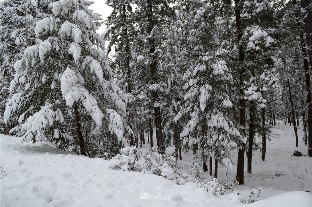 3-5 Emerson Road Mazama, WA 98833 - Photo 3 of 21 Gallery Image 3