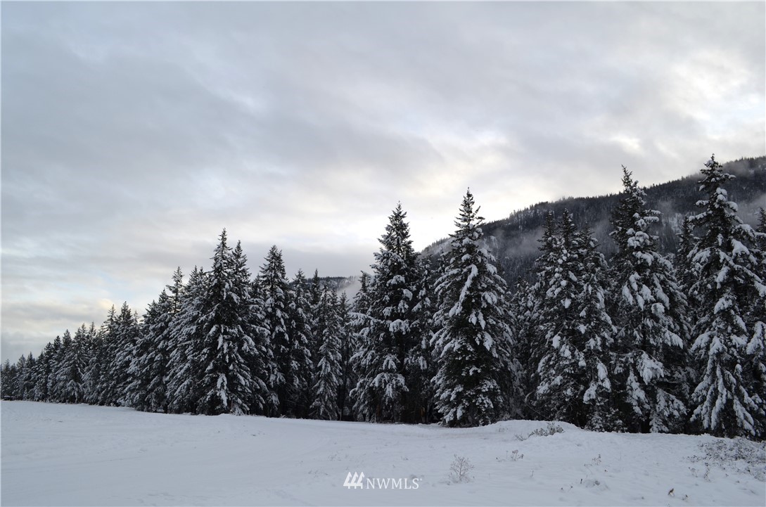 3-5 Emerson Road Mazama, WA 98833 - Photo 21 of 21 Gallery Image 21