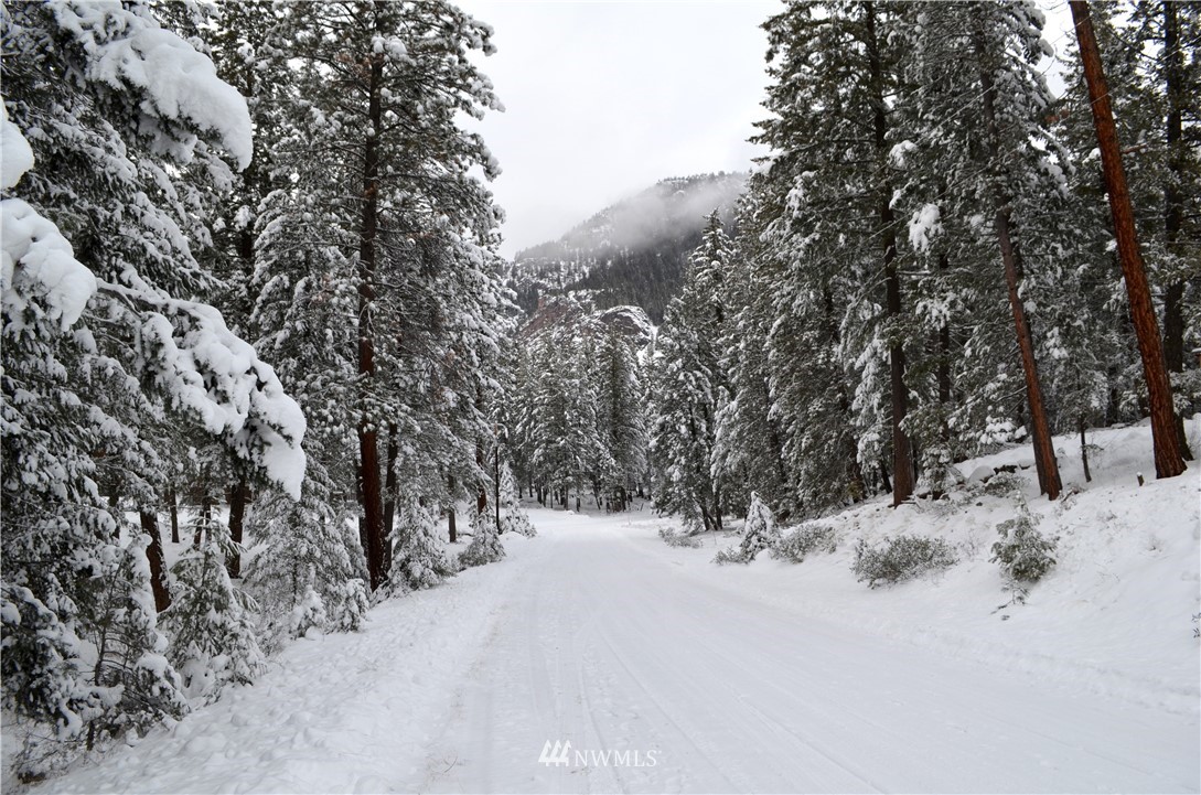 3-5 Emerson Road Mazama, WA 98833 - Photo 4 of 21 Gallery Image 4