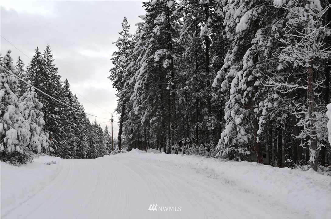 3-5 Emerson Road Mazama, WA 98833 - Photo 5 of 21 Gallery Image 5