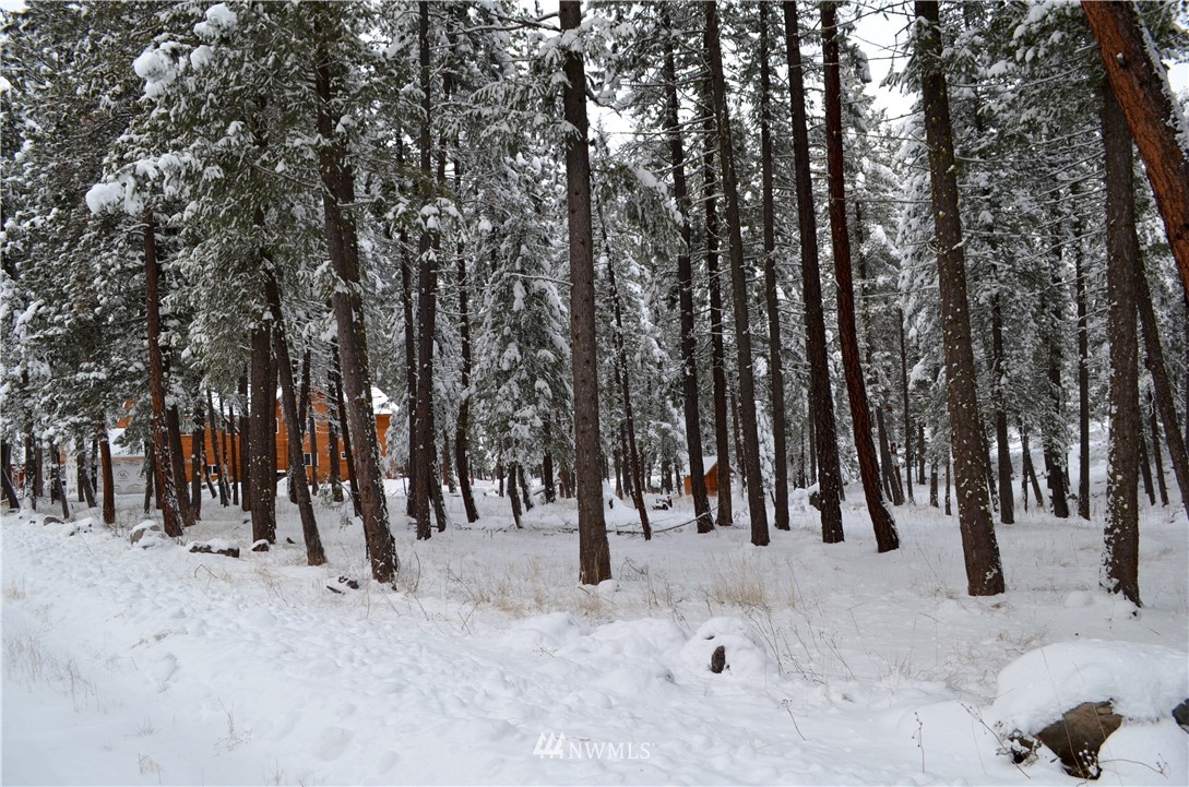 3-5 Emerson Road Mazama, WA 98833 - Photo 6 of 21 Gallery Image 6