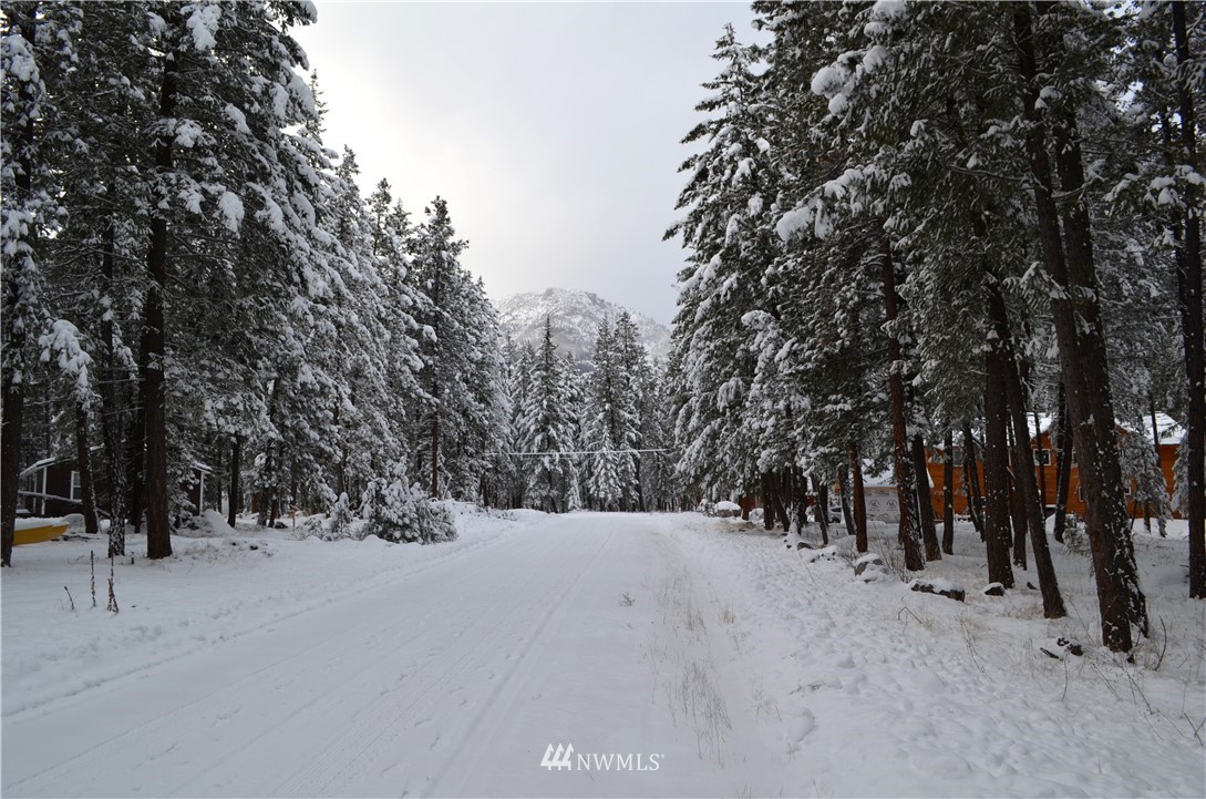 3-5 Emerson Road Mazama, WA 98833 - Photo 9 of 21 Gallery Image 9