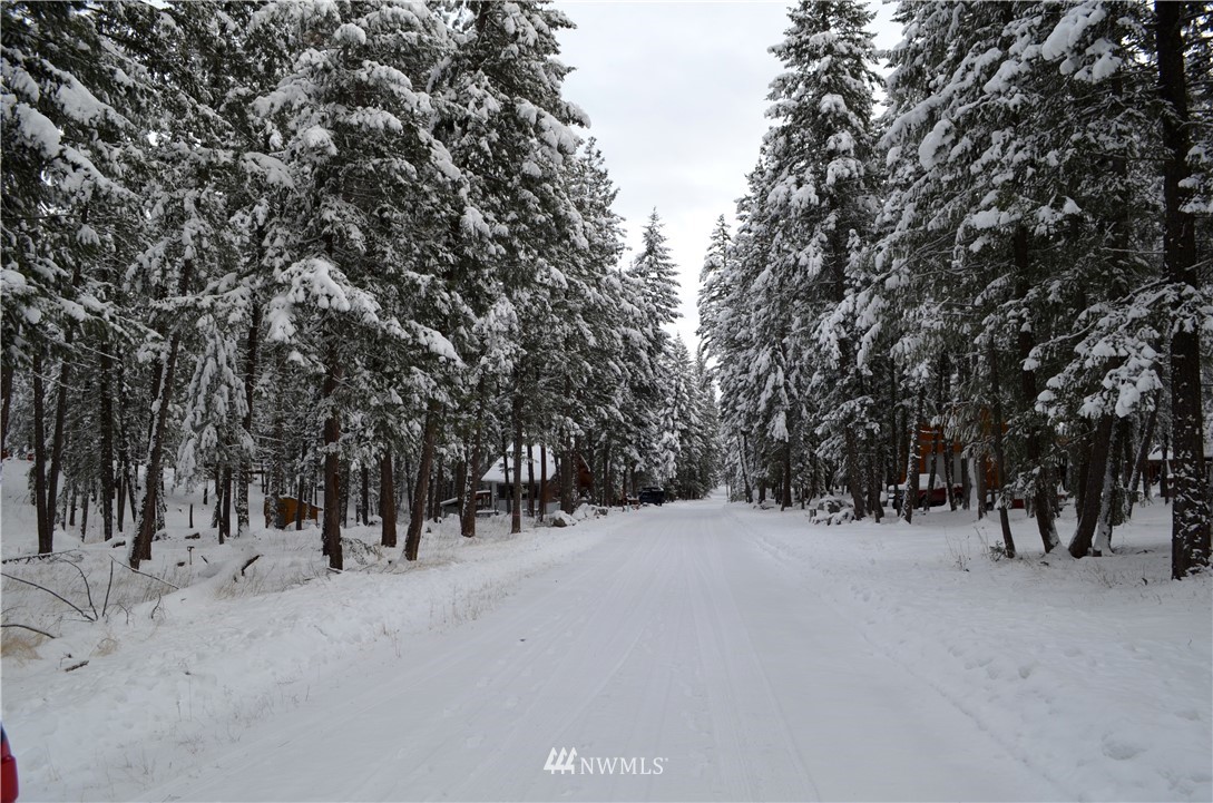 3-5 Emerson Road Mazama, WA 98833 - Photo 10 of 21 Gallery Image 10