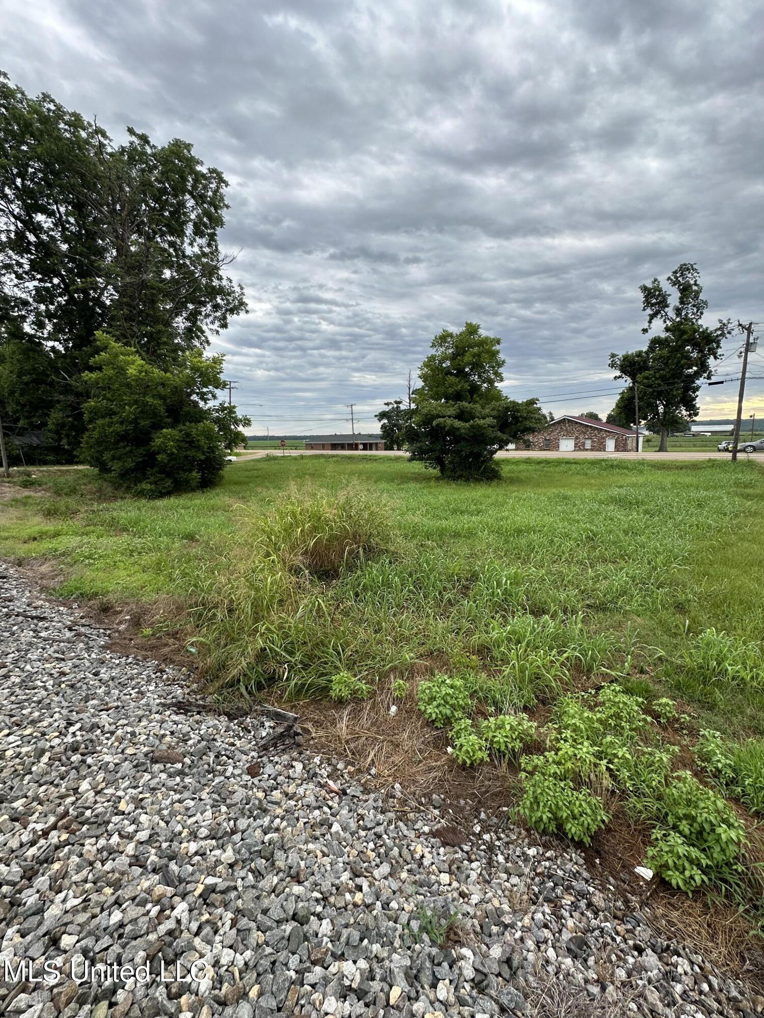 Martin Luther King Drive Drive Tchula, MS 39169 - Photo 4 of 4 IMG_6538