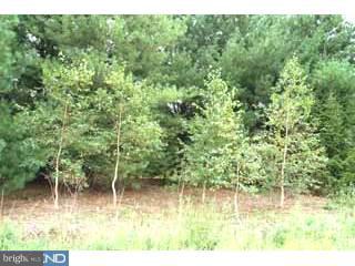 5859 Summit Bridge Road, Unit LOT 2 Townsend, DE 19734 - Photo 2 of 6 Gallery Image 2