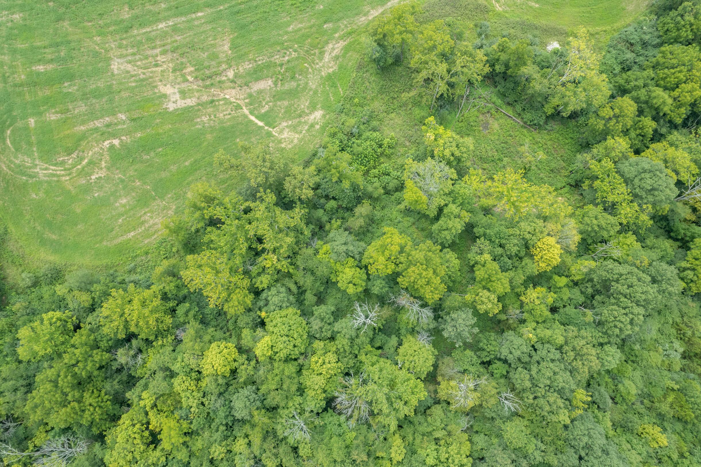 12560 Miami Trace Road Greenfield, OH 45123 - Photo 5 of 11 12560MiamiTraceRd-40Ac-5