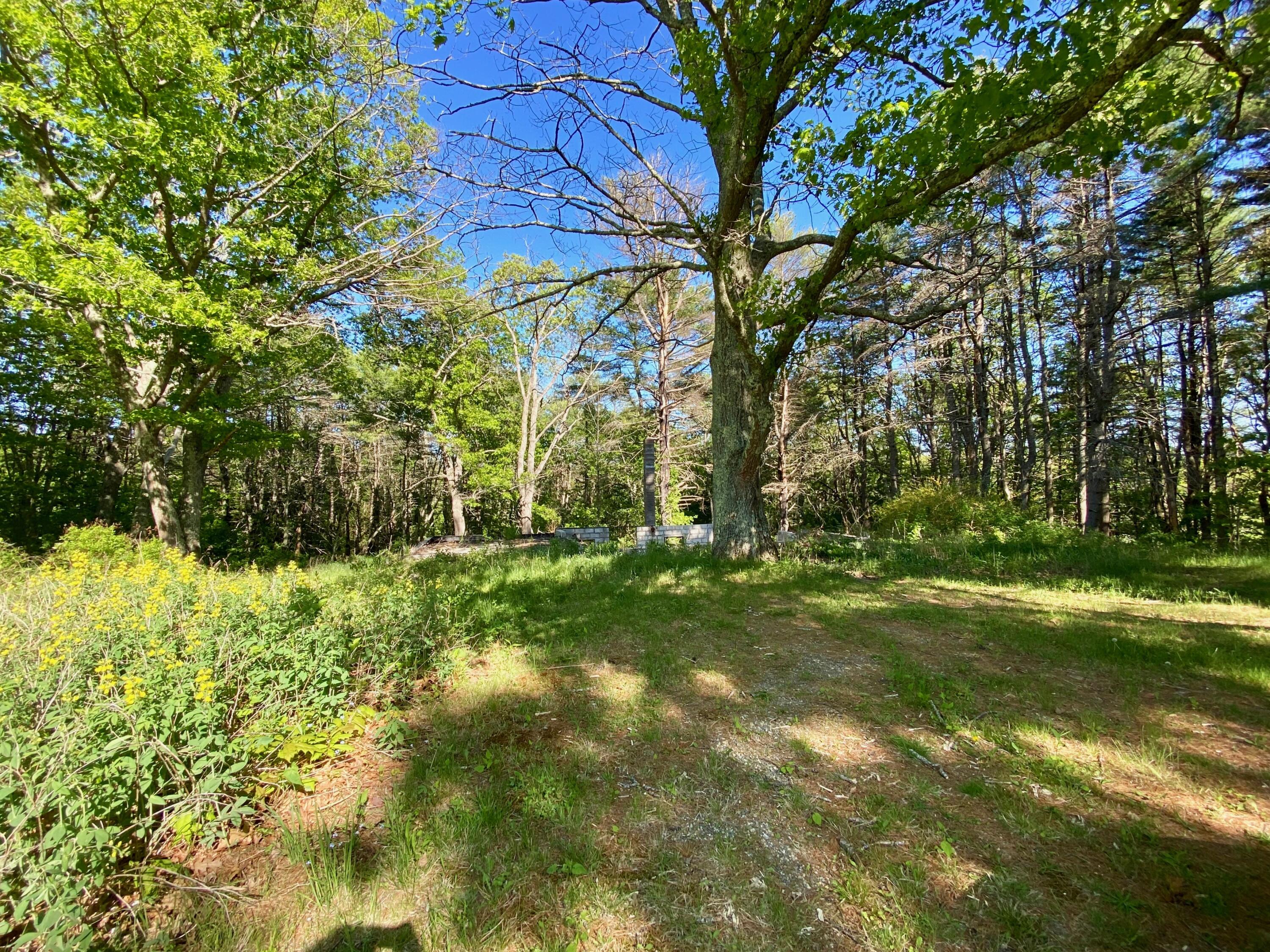 413 Meadow Road Woolwich, ME 04579 - Photo 3 of 4 IMG_6985 (1)
