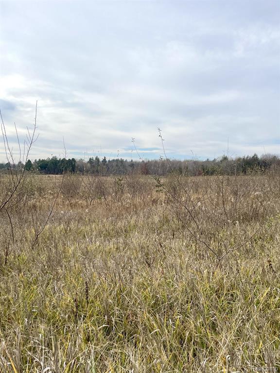 3 Maes Road West Branch, MI 48661 - Photo 6 of 6