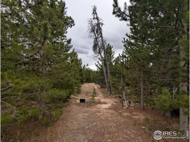 a view of a backyard of the house