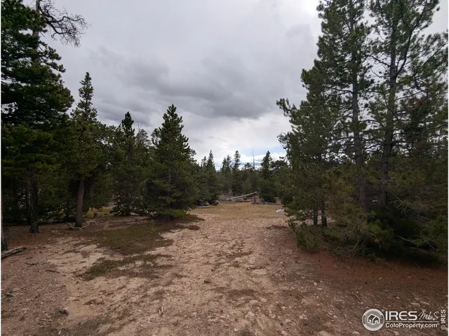 a view of a dry yard with trees in the background