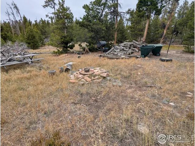 a view of a backyard