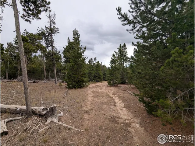 a view of a dry yard with trees