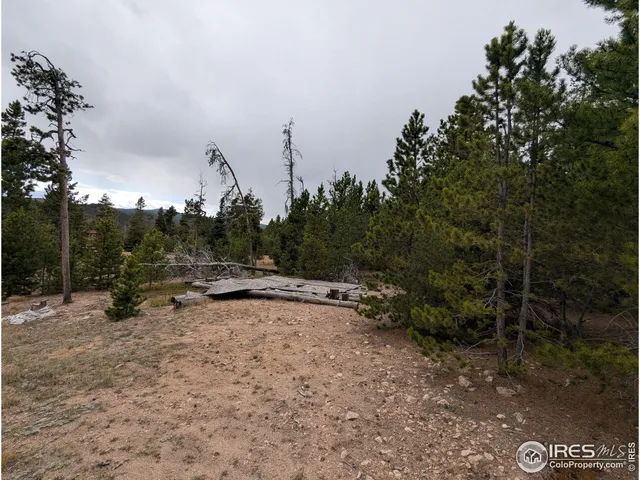 a view of a fire pit with large trees